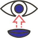 Contact Lenses